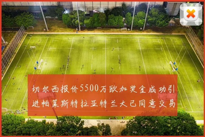 切尔西报价5500万欧加奖金成功引进帕莱斯特拉亚特兰大已同意交易
